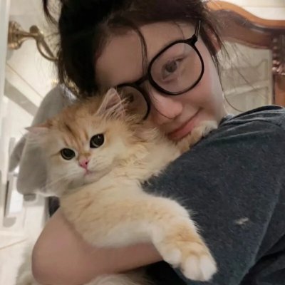 夏威夷特勤组第九季